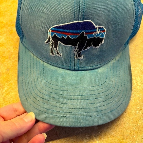 Patagonia fitz roy bison Trucker mesh Hat with Buffalo Embroidery distressed - Picture 2 of 5